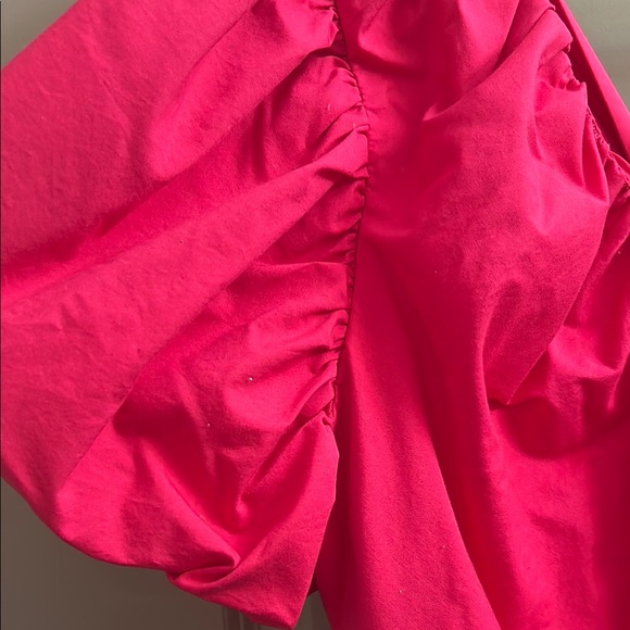 Express Bold Pink Ruffle Dress - Picture 4 of 6